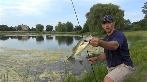 Best Time and Technique to Catch Fish in Ponds